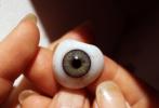 Eyeball, iris, pupil, glass eye, Sclera, HAEV01P02_03