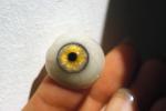 Eyeball, iris, pupil, glass eye, Sclera, HAEV01P02_04