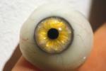Eyeball, iris, pupil, glass eye, Round, Circular, Circle, Sclera, HAEV01P02_04B