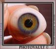 Eyeball, iris, pupil, glass eye, Round, Circular, Circle, Sclera, HAEV01P02_05B