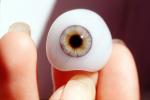 Eyeball, iris, pupil, glass eye, Sclera, HAEV01P02_08