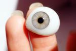 Eyeball, iris, pupil, glass eye, Sclera, HAEV01P02_09