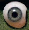 Eyeball, iris, pupil, glass eye, Sclera, HAEV01P02_12
