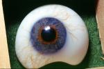 Eyeball, iris, pupil, glass eye, Sclera, HAEV01P02_14