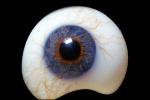 Eyeball, iris, pupil, glass eye, Sclera, HAEV01P02_14B