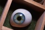 Eyeball, iris, pupil, glass eye, veins, Sclera, HAEV01P02_15