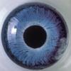 Eyeball, iris, pupil, glass eye, veins, Round, Circular, Circle, Sclera, HAEV01P03_04B
