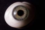 Eyeball, iris, pupil, glass eye, veins, Sclera, HAEV01P03_06
