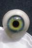 Eyeball, iris, pupil, glass eye, veins, Sclera, HAEV01P03_07