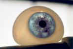 Eyeball, iris, pupil, glass eye, veins, Sclera, HAEV01P03_08