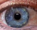 Lens, Cornea, Eyeball, iris, pupil, Round, Circular, Circle, Sclera, HAEV01P03_14