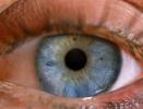 Lens, Cornea, Eyeball, iris, pupil, eyelash, Round, Circular, Circle, Sclera, HAEV01P03_19