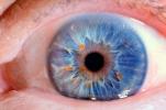 Lens, Cornea, Eyeball, iris, pupil, eyelash, Round, Circular, Circle, Sclera, HAEV01P04_02