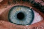 Eyeball, Iris, Lens, Pupil, Eyelash, Cornea, Sclera, Round, Circular, Circle, HAEV01P04_03