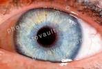 Eyeball, Iris, Lens, Pupil, Eyelash, Cornea, Sclera, Round, Circular, Circle, HAEV01P04_03B