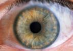 Eyeball, Iris, Lens, Pupil, Eyelash, Cornea, Sclera, Round, Circular, Circle, HAEV01P04_06