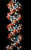 DNA Double Helix, Nucleotides, chain