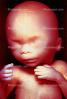 Fetus, Embryo, HAIV01P06_03B