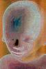 Fetus, Embryo, HAIV01P06_05B