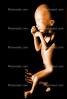 Fetus, Embryo, HAIV01P07_01