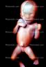 Fetus, Embryo, HAIV01P07_06