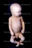 Fetus, Embryo, HAIV01P08_18