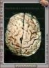 Real Human Brain, HANV01P04_16C
