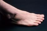 Foot, Toes, Toenail, Joints, ankle, HASV01P15_09