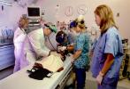 Baby Patient, Emergency Room, Doctor, Nurse, HEPV03P10_07