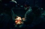 Operating Room, Doctor, Nurse, surgical gloves, tools, operation, Surgery