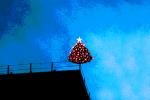 Christmas Tree, Nighttime, Paintography