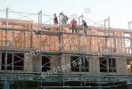 scaffold, scaffolding