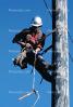 lineman, Climbing, Climbs, Telephone Pole, ICEV01P03_09B