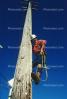 lineman, Climbing, Climbs, Telephone Pole, ICEV01P03_13