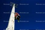 lineman, Climbing, Climbs, Telephone Pole, ICEV01P03_14