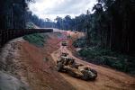Wheel tractor-scraper, Rain Forest, Burma, Scraper, Earthmoving, Earthmover, Deforestation, ICSV01P01_07