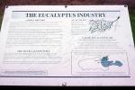 The Eucalyptus Industry, IPCV01P02_08