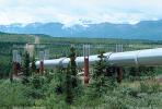 Alaska Pipeline, IPOV01P03_15.2170