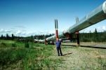Alaska Pipeline, IPOV01P03_18