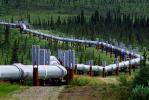Alaska Pipeline, IPOV02P14_19