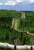 Alaska Pipeline, IPOV02P15_01