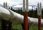 Alaska Pipeline, IPOV02P15_08