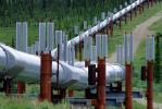 Alaska Pipeline, IPOV02P15_10