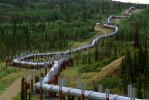 Alaska Pipeline, IPOV02P15_11