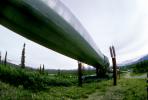 Alaska Pipeline, IPOV02P15_19
