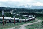 Alaska Pipeline, IPOV03P01_02