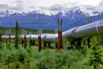 Alaska Pipeline, IPOV03P01_04