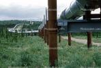Alaska Pipeline, IPOV03P01_05