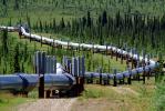Alaska Pipeline, IPOV03P01_08