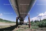 Alaska Pipeline, IPOV03P01_11